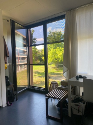 Anzeigenbild: Helles süßes Studentenzimmer  zur Untermiete ( Mitte September bis März )