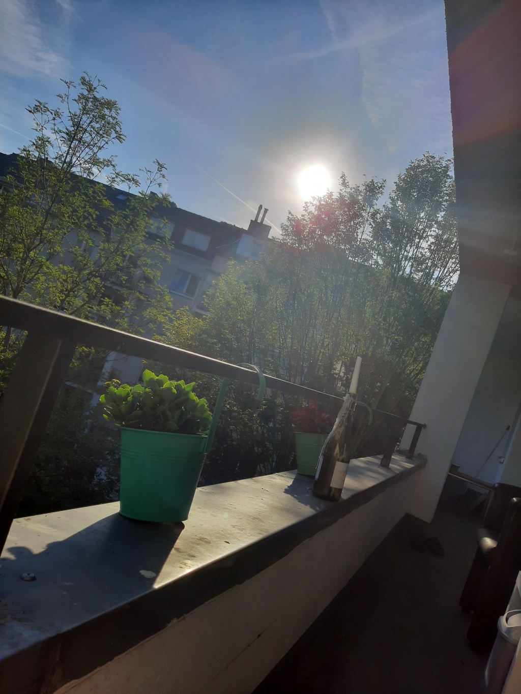 WG-Zimmer Poppelsdorf Baumschulallee 22 - Balkon