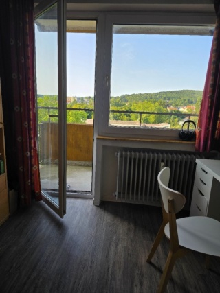Anzeigenbild: ✨ Ein Zimmer mit Balkon in einer WG Verfügbar ab September – Bruchwiesenanlage 4 ✨