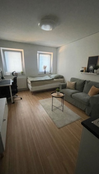 Anzeigenbild: Gemütliche 1 Zimmerwohnung für Langzeitmieter