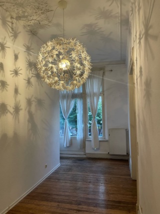 Ad image: Wg room in sunny old apartment South town