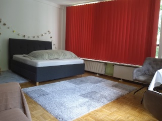 Ad image: Single apartment 50sqm with chic and terrace (kitchen, modern shower room)