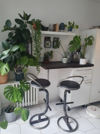 Anzeigenbild: Nur zur Zwischenmiete: 3ZKB-Wohnung + Balkon