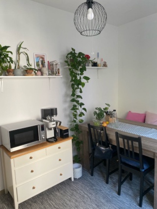 Anzeigenbild: Süße 1-Zimmer-Wohnung zur Untermiete in der Altstadt☀️