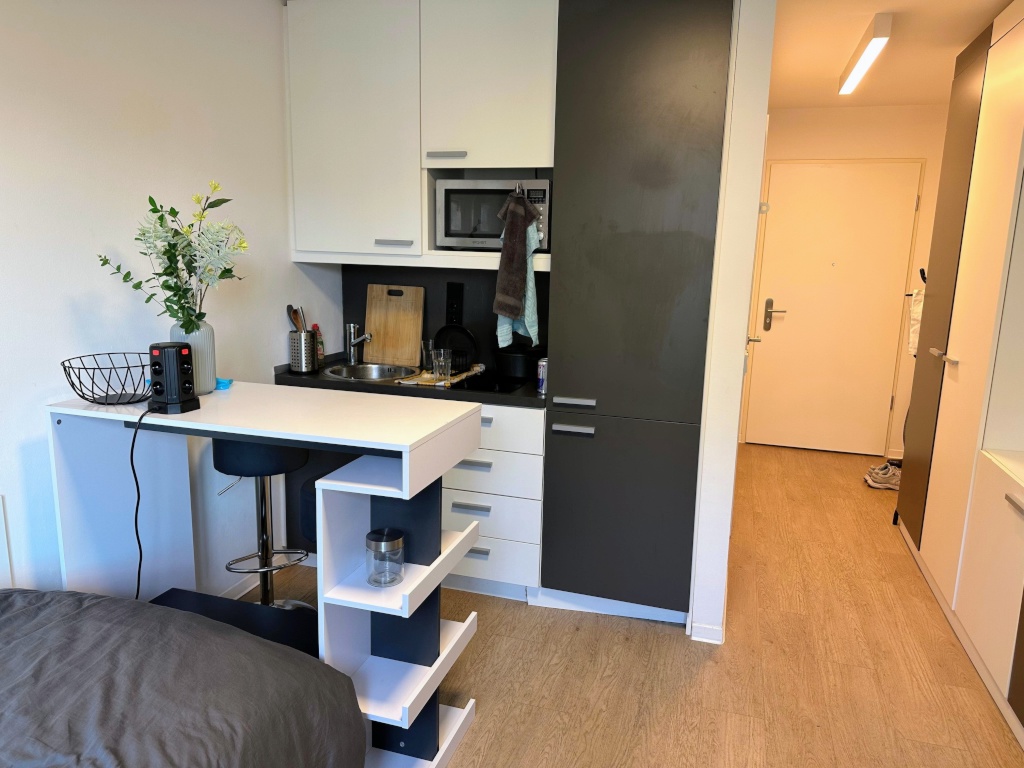 Möbliertes Apartment zur Zwischenmiete (August – September) in Obersendling – Baierbrunner Straße, 81379 München München – Vorschaubild 3