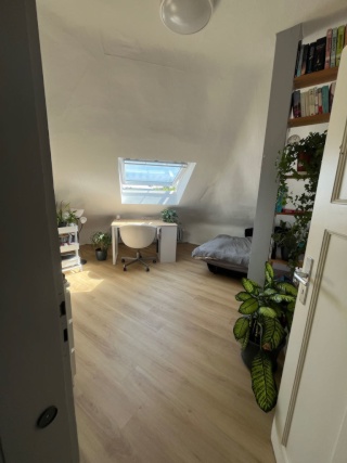 Ad image: Room in Central 5 girls wg free