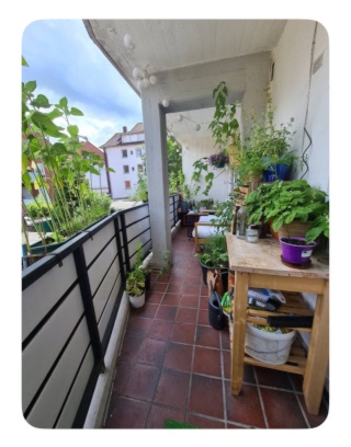 Ad image: Central Apartment