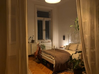 Imagen del anuncio: Altbau-Durchgangszimmer in perfekter Lage sucht dich!