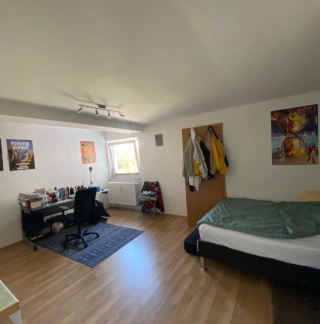 Ad image: Beautiful 1-room apartment at Kühberg