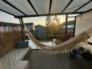 Anzeigenbild: 🌅 Zimmer mit Blick auf Weinberge & Sonnenuntergang – 150 m vom Main