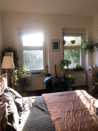 Anzeigenbild: [short term] Large room in a green flat in Lichtenberg/Rummelsburg
