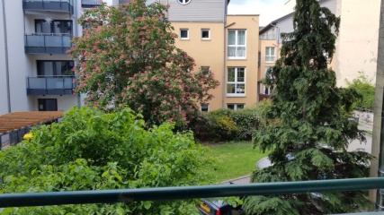 Einzimmerwohnung mit Blick ins Grüne