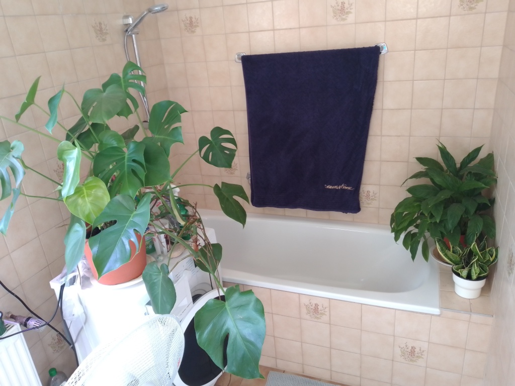 Wohnung Laim Landsberger Straße - Bild 5
