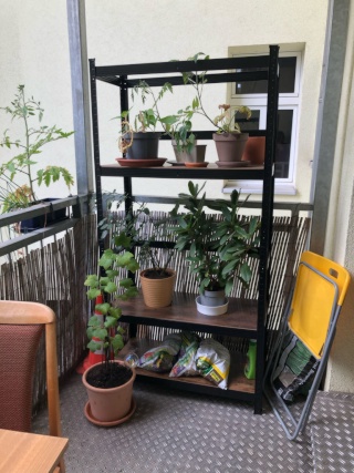 Imagen del anuncio: Helles, gemütliches Zimmer, nette Mitbewohnende inkl.