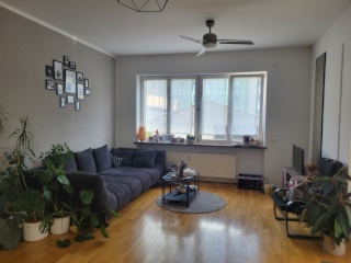 Ad image: 2 rooms in relaxed 4 WG with large terrace