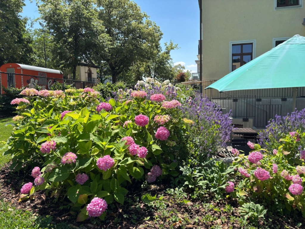 WG-Zimmer Frauenland Greisingstr. 17 - Bild 10