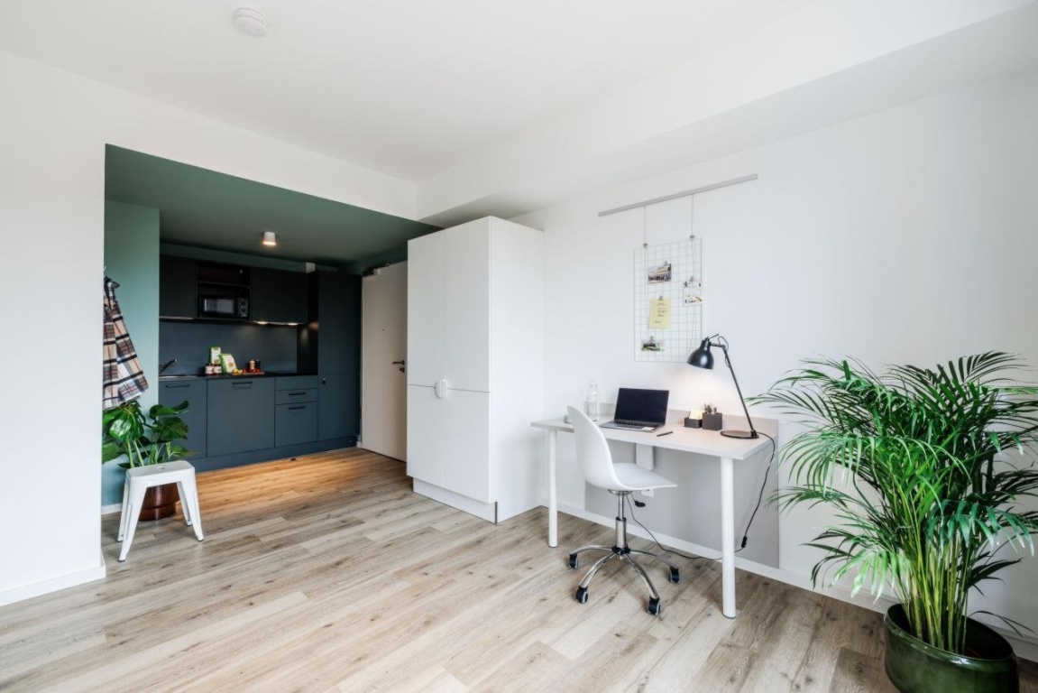 THE FIZZ Ludwigshafen - Mannheim – Vollmöblierte Single Apartments für Studierende – 67061 Ludwigshafen am Rhein Mitte – Vorschaubild 21