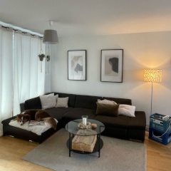 Anzeigenbild: WG-Zimmer in Dachauer Altstadt