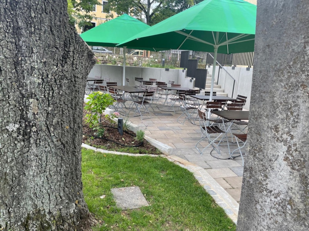 WG-Zimmer Frauenland Greisingstr. 17 - Bild 11