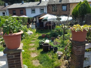 Imagen del anuncio: Hermosa casa pareada en Bochum Bergen/Hiltrop