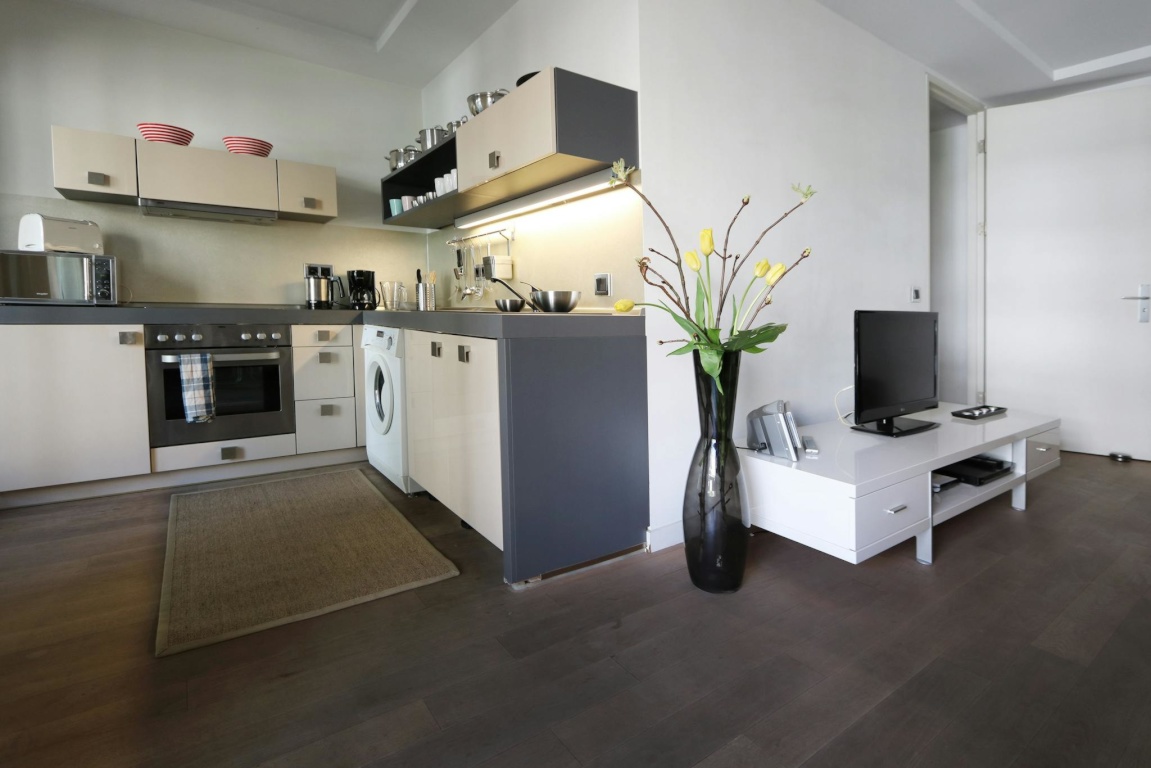 1 Room Flat Mitte Friedrichstraße - picture 6