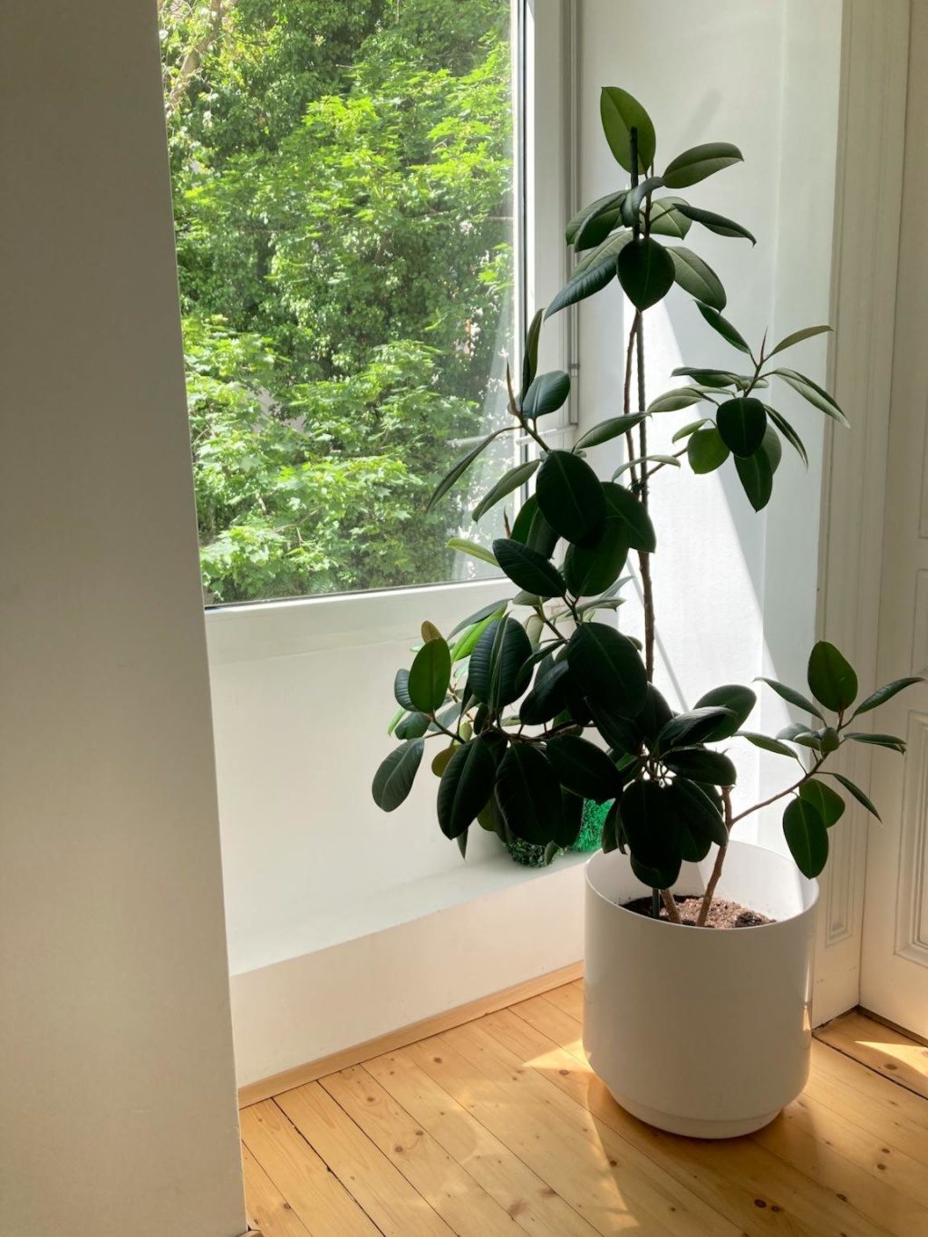 1-Zimmer-Wohnung Wien Zwölfergasse - Bild 3