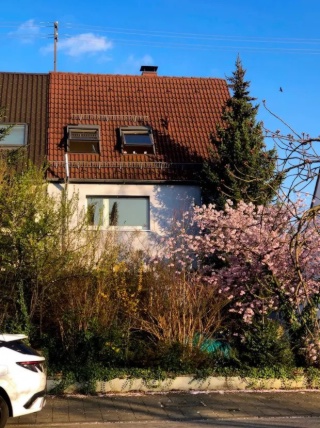 Imagen del anuncio: WG-suited DHH en Karlsruhe – 6.5 habitaciones en ubicación central