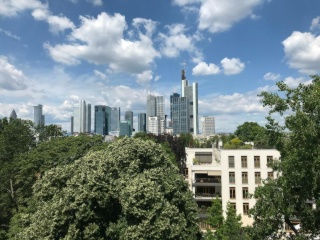 Anzeigenbild: Gartenstraße, Frankfurt am Main