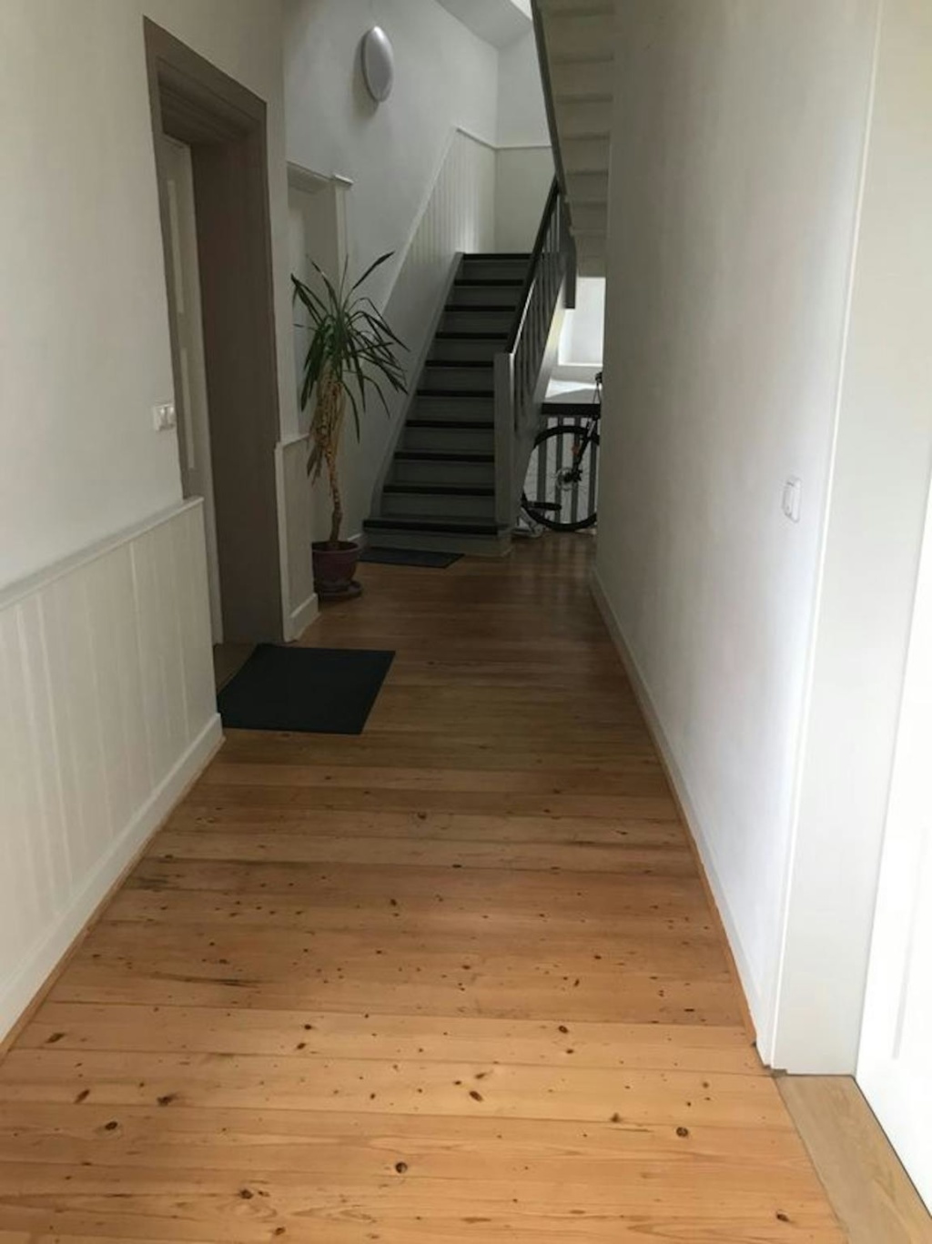1-Zimmer-Wohnung Höchst Allmeygang - Bild 5