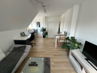 Ad image: Large bright WG room in renovated attic apartment close to university