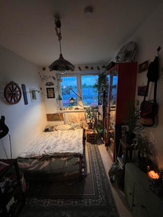 Anzeigenbild: schönes WG Zimmer Neustadt mit perfekter Lage