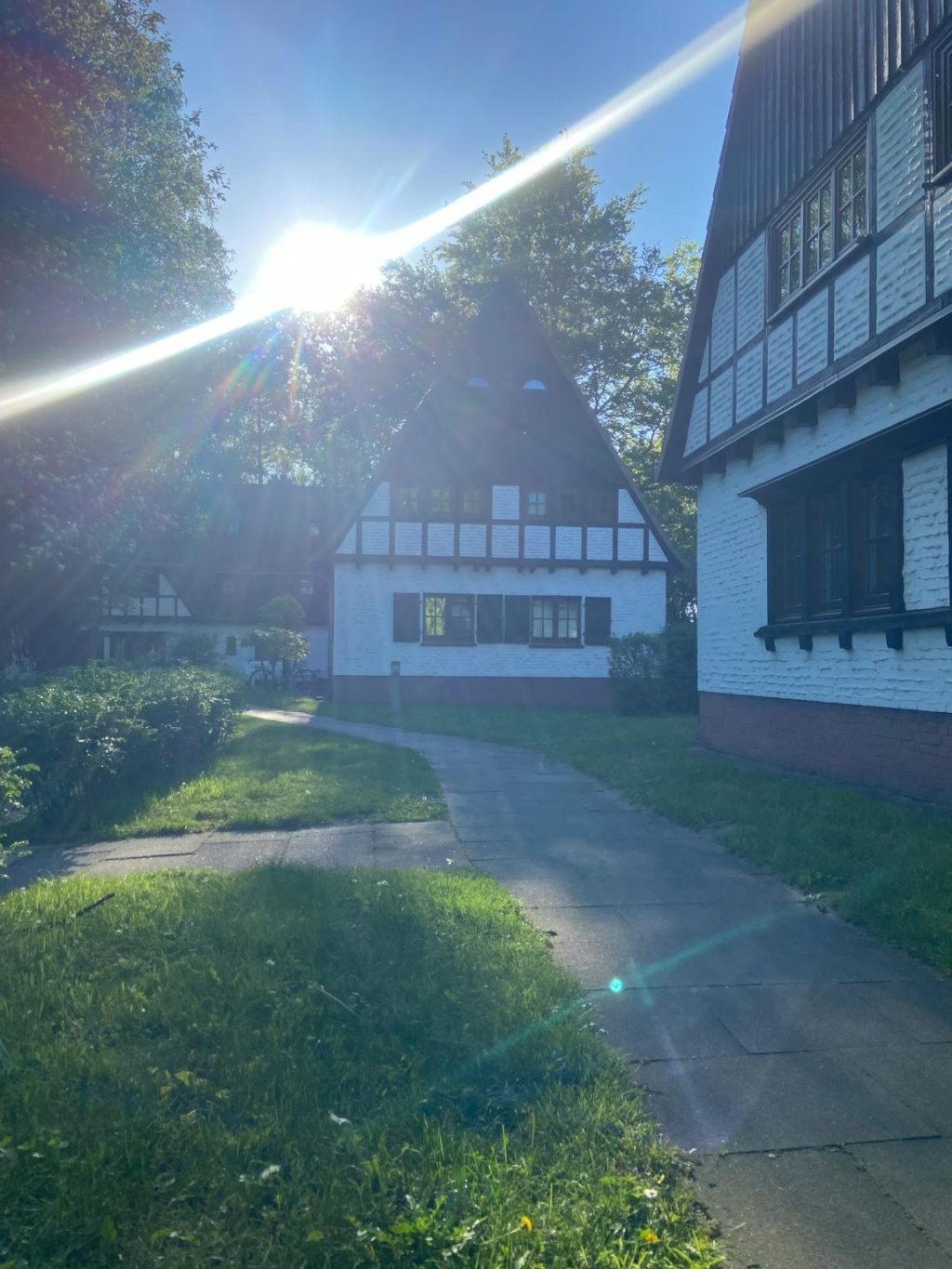 1-Zimmer-Wohnung Langenhorn Essener Straße - Bild 5