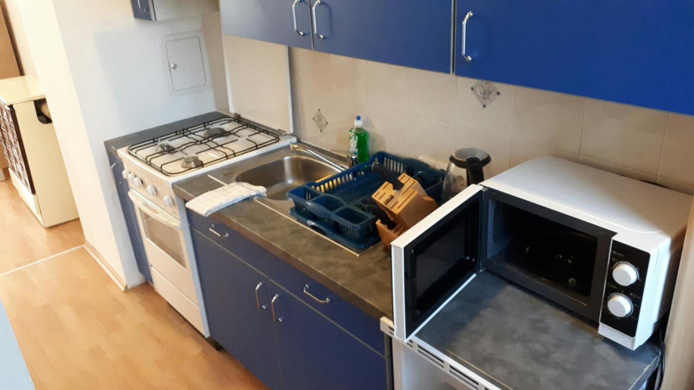 1-Zimmer-Wohnung Wien Buchengasse - Bild 2