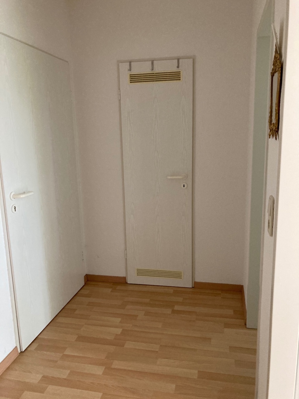 Schöne Wohnung mit Elbblick sucht Nachmieter/in – Mittelstrasse 10, 39114 Magdeburg Werder – Vorschaubild 11