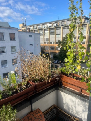 Anzeigenbild: Wohnung Sublet 7. -30. September