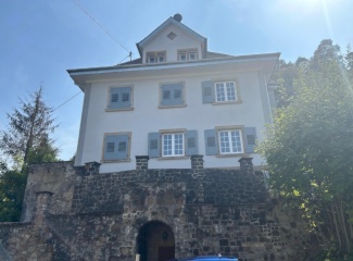 Anzeigenbild: WG-Zimmer in historischer Villa mit Garten zu vermieten