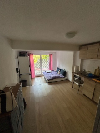 Anzeigenbild: Single Apartment-Wg Zimmer frei ab November/Dezember