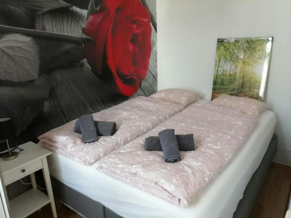 Flat Wien Hubergasse - picture 6
