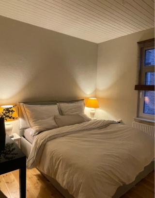 Ad image: beautiful single apartment in the East