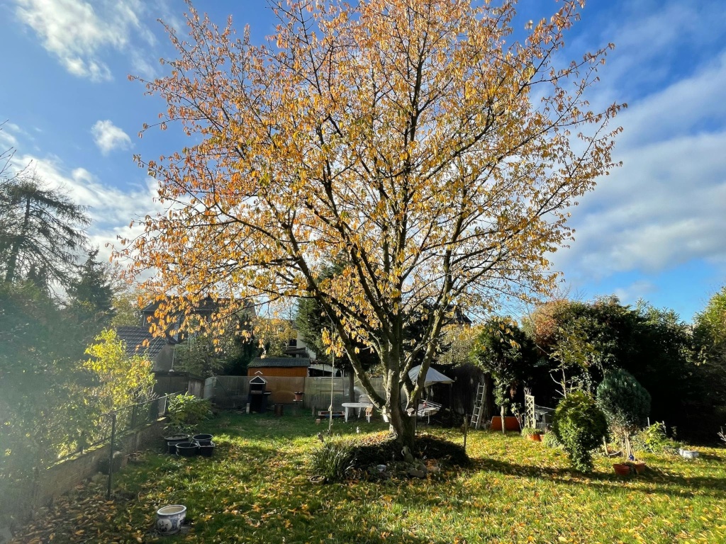 Lichtenbroicher Weg, Düsseldorf – 40472 Düsseldorf Hubbelrath – Vorschaubild 10