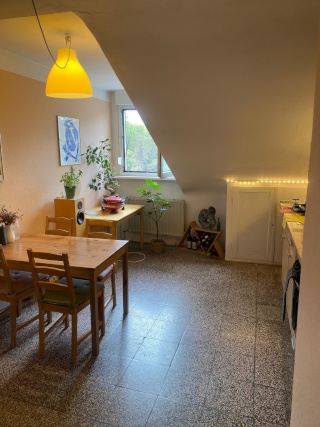 Anzeigenbild: Großzügige 2-Zimmer Wohnung im Lindenhof
