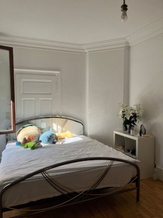 Anzeigenbild: WG-Zimmer, 20 qm Küche incl. EBK, WC, Dusche, zentral nähe FH