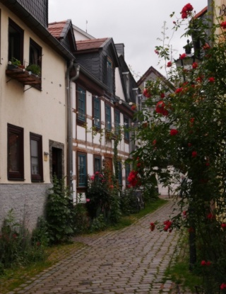 Anzeigenbild: Lebendige 5er WG im besten Viertel Marburgs