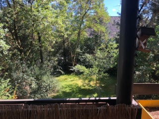 Ad image: 3 rooms apartment with EBK and 2 balconies! Additional costs incl. internet and electricity!