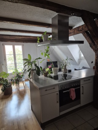 Imagen del anuncio: Apartamento en el centro