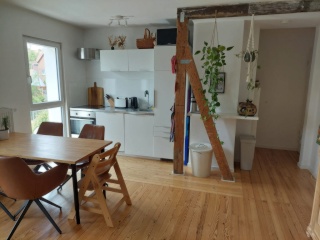 Beautiful duplex apartment with garden use