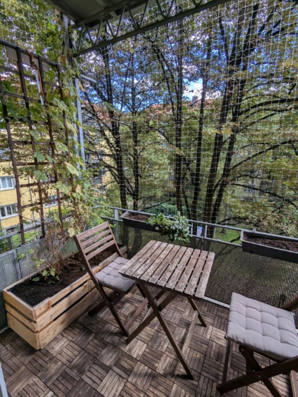 Möblierte 2 Zimmerwohnung mit Balkon zur Zwischenmiete (Maxvorstadt) – Lothstraße, 80797 München Maxvorstadt – Vorschaubild 2