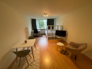Anzeigenbild: Gut geschnittenes möbliertes Appartement