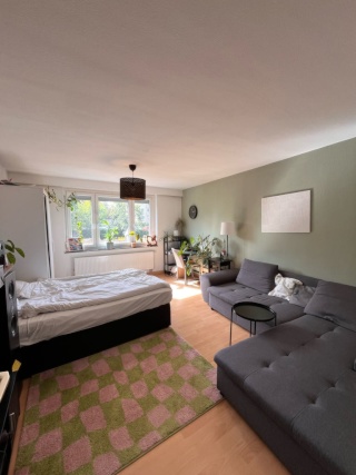 Anzeigenbild: Zwischenmiete in schöner 1 Zimmerwohnung von November bis Ende Januar