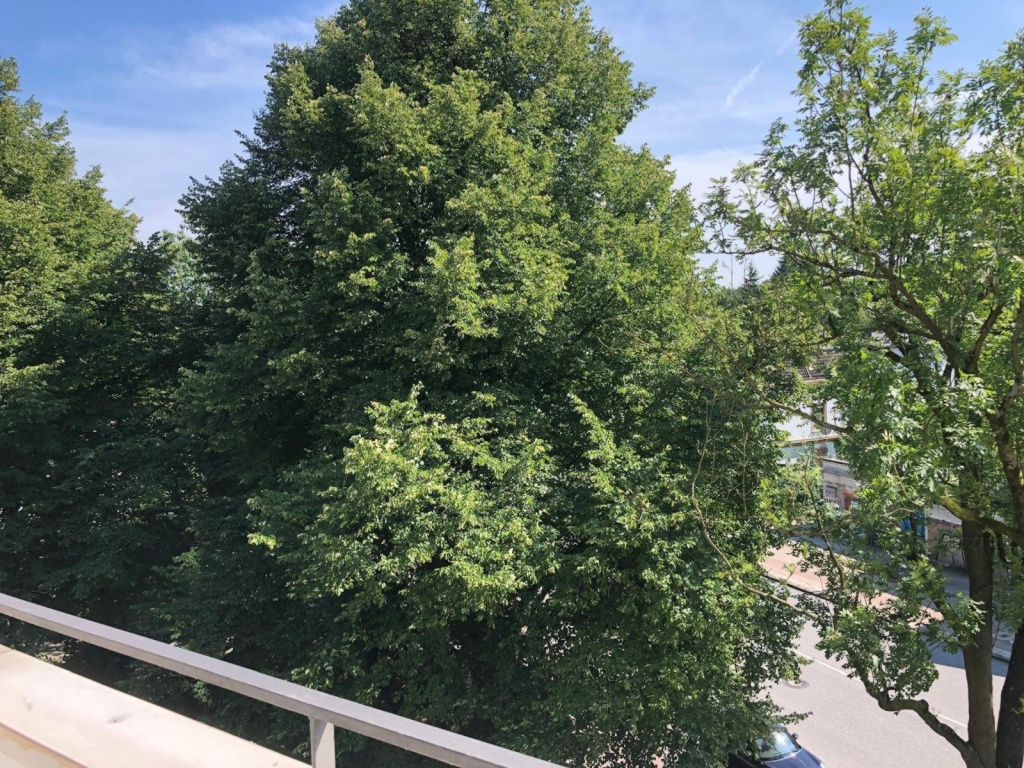 Apartamento Eimsbüttel karkwurt - foto 2